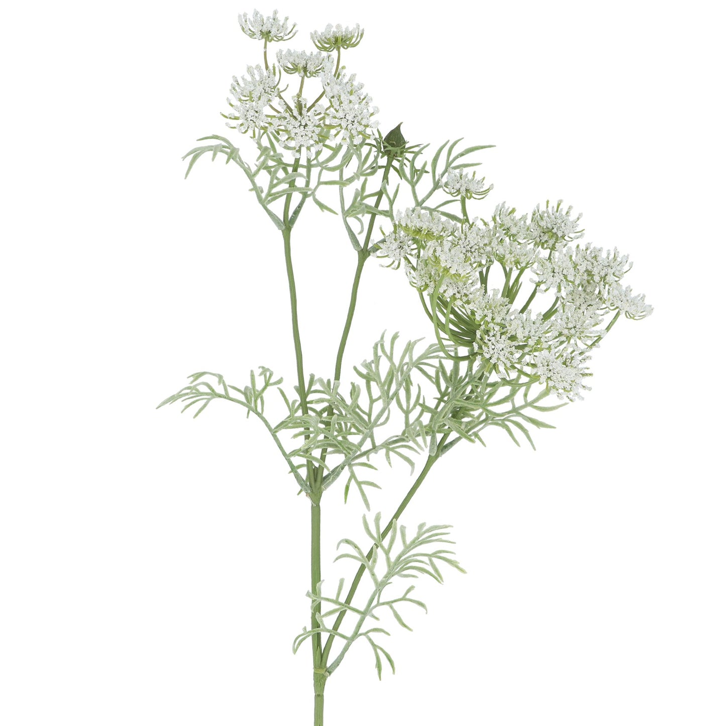 Cowslip Spray