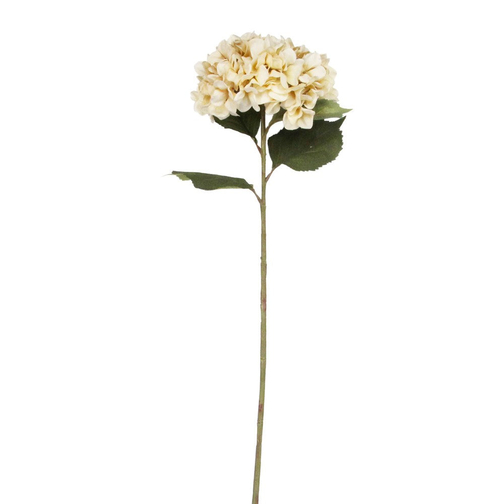 Antique Cream Giant Hydrangea Stem