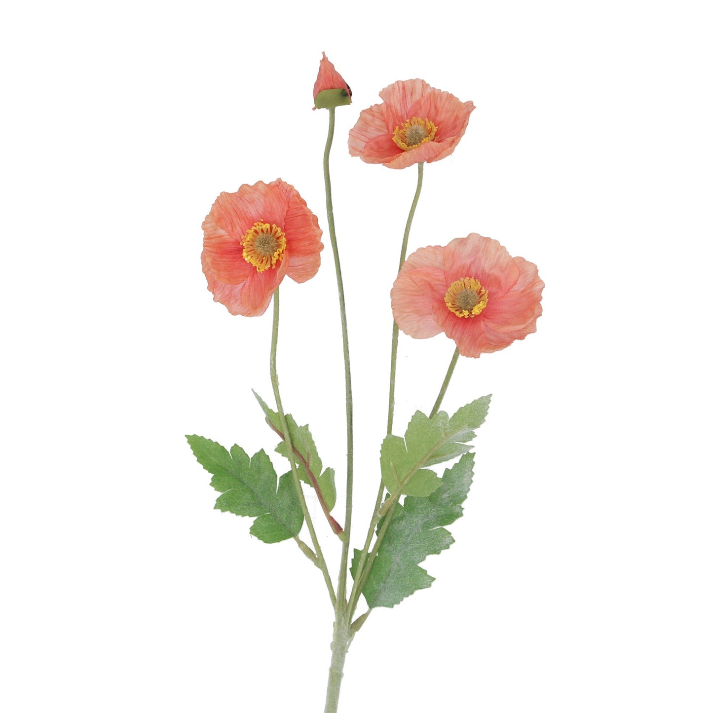 Coral Poppy Spray