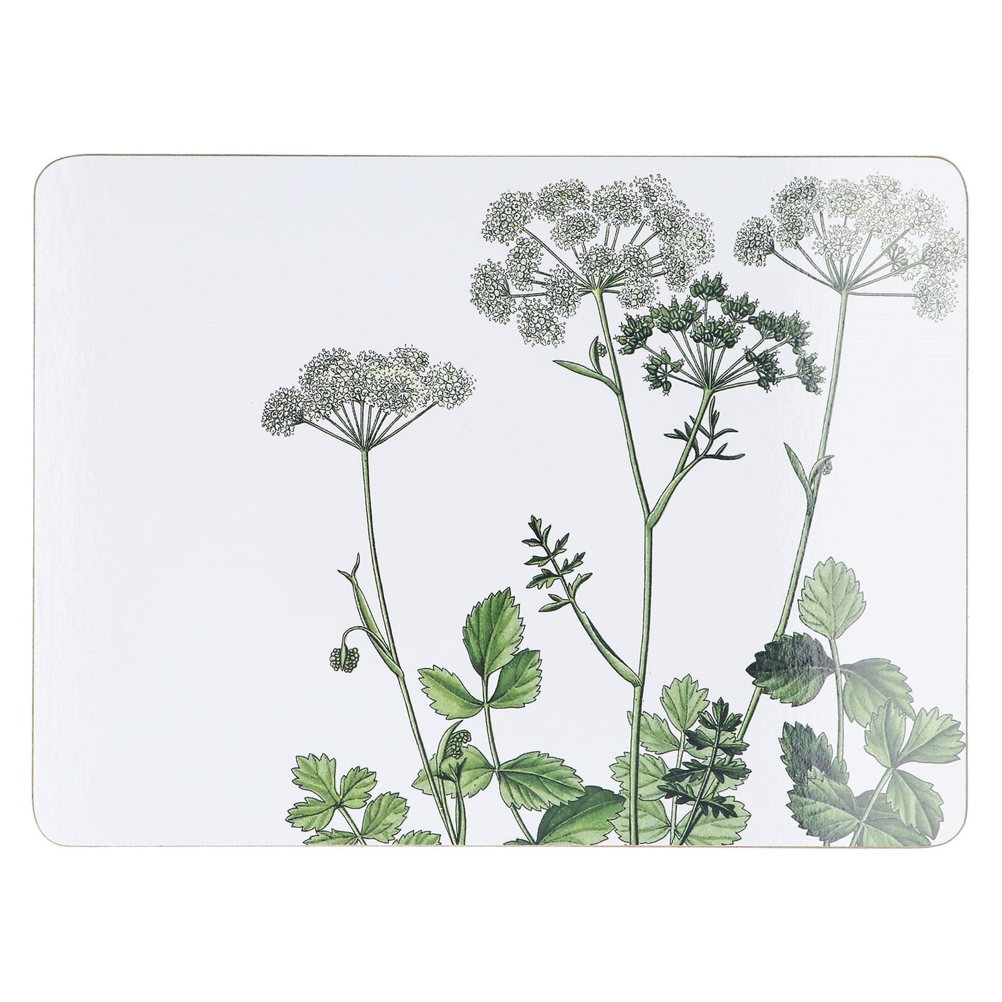 Pack of 4 prring Hedgerow Cork Placemats