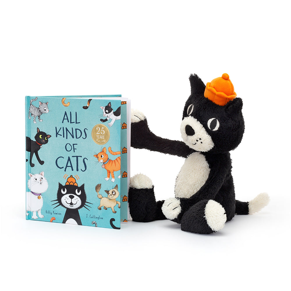 All Kinds Of Cats Book