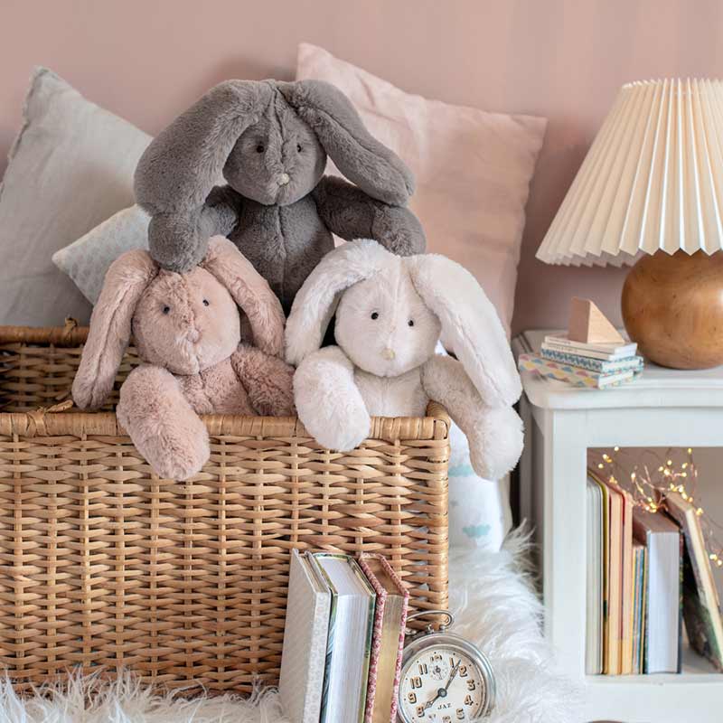 Grey rabbit Arthur & Louison
