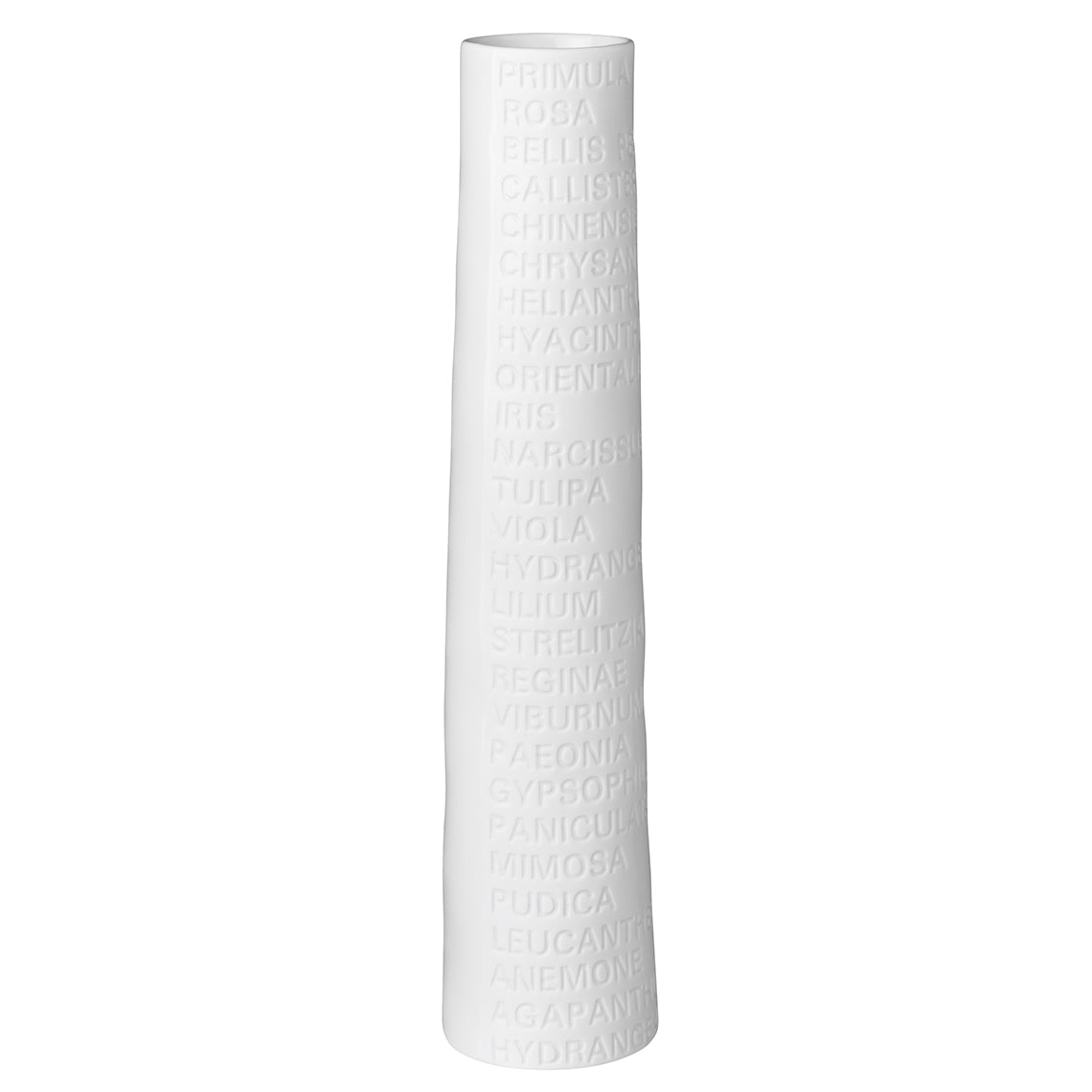 Room Poetry Vase, Large
