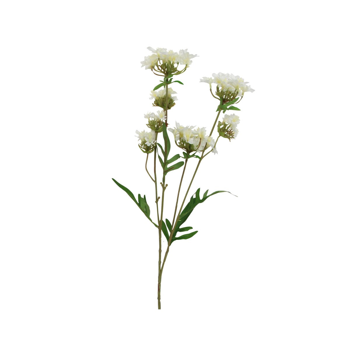 Spray 64cm - White Zinnia