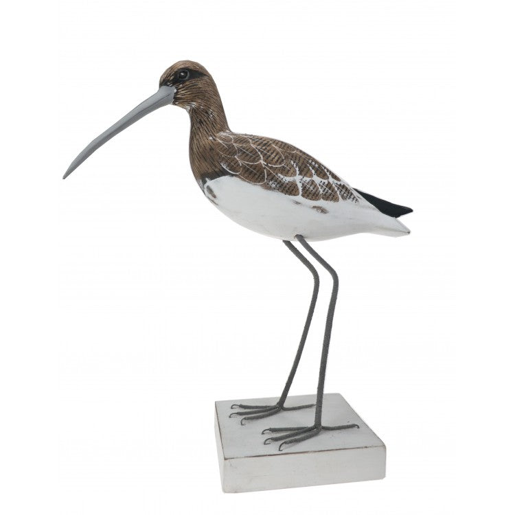Fishing Curlew