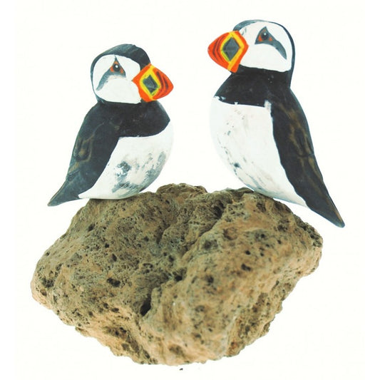 Double Puffin on Rock