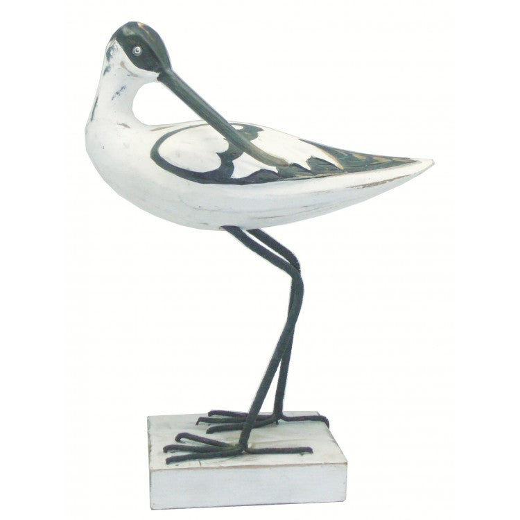 Avocet