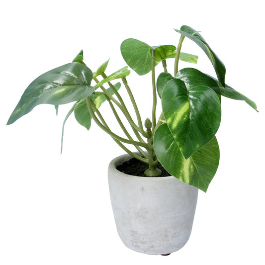 Faux Philodendron in Pot Sml
