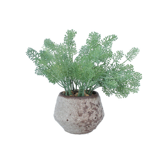 Faux Seed Fern Succulent in Aged Pot