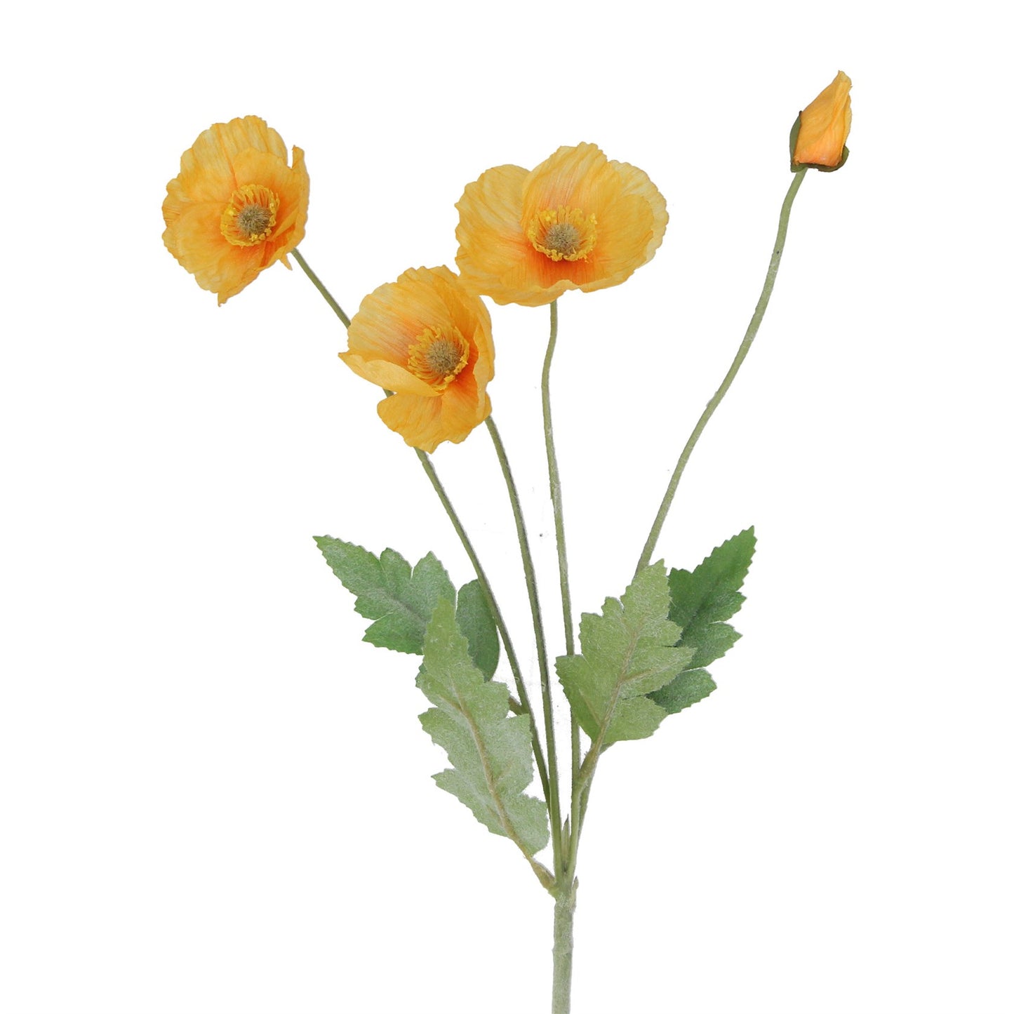 Yellow Poppy Spray