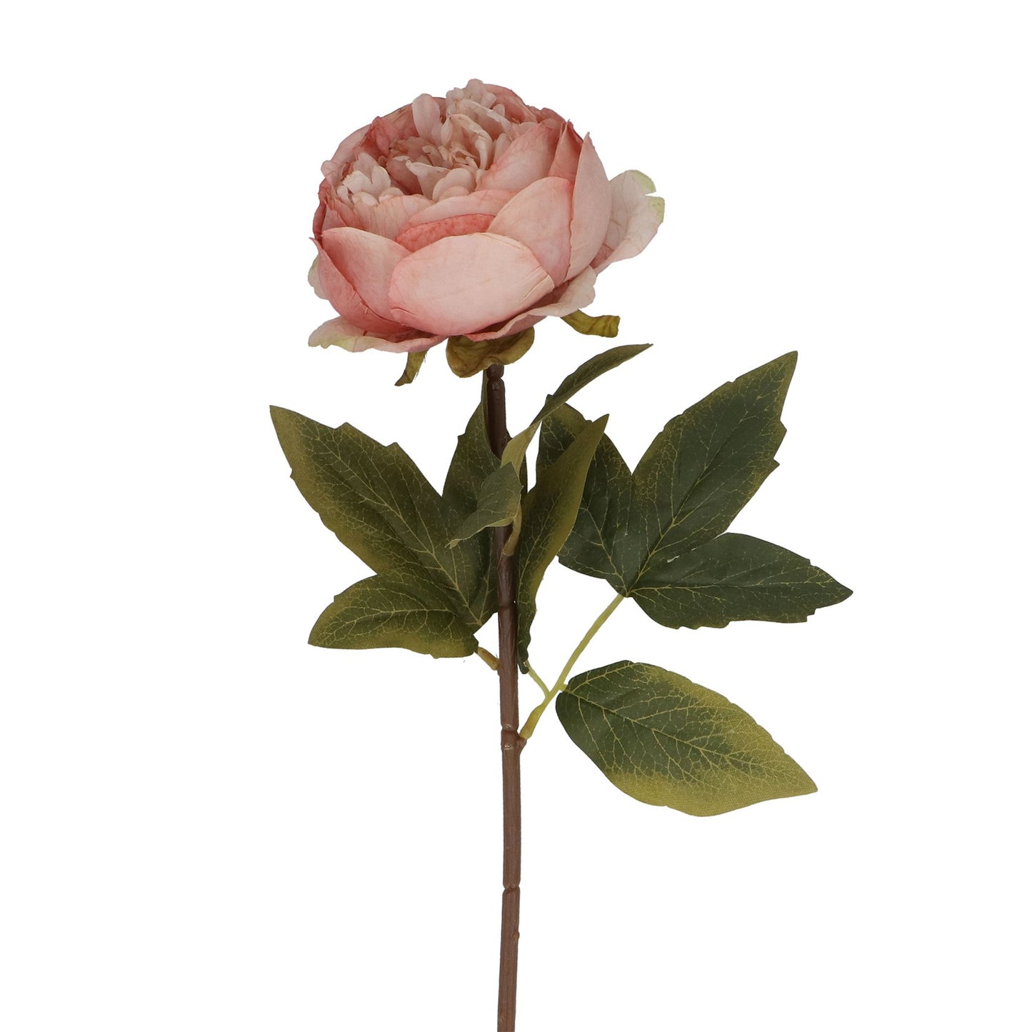 Antique Pink Peony Stem 57cm