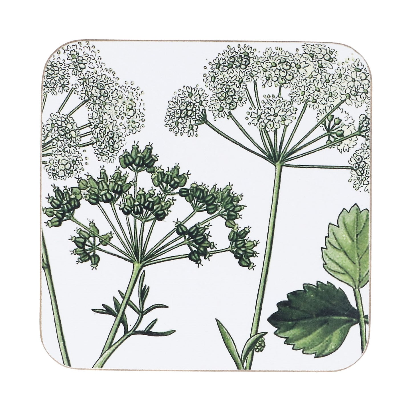 Pack of 4 Spring Hedgerow Cork Coasters