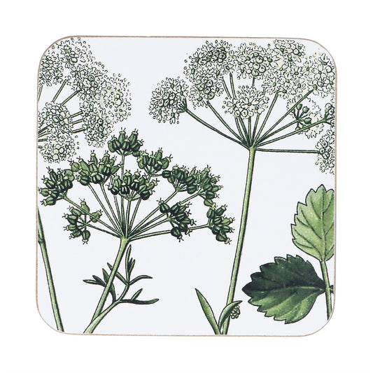 Pack of 4 Spring Hedgerow Cork Coasters